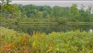 Ohio Rocks: Triangle Bog State Park