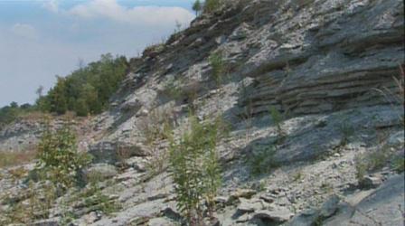 Video thumbnail: K-12 Multimedia Resources Ohio Rocks: Ceasar Creek State Park
