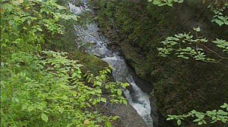 Video thumbnail: K-12 Multimedia Resources Ohio Rocks: Clifton State Nature Preserve