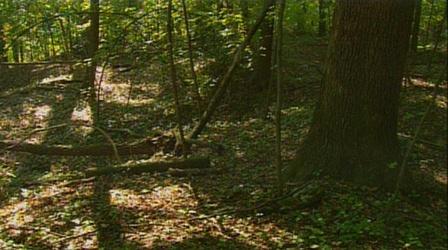 Video thumbnail: K-12 Multimedia Resources Ohio Rocks: Flint Ridge State Memorial Park
