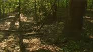 Ohio Rocks: Flint Ridge State Memorial Park