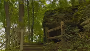 Ohio Rocks: Hocking Hills State Park Cedar Falls