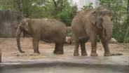 You At The Zoo - Ecosystem Changes