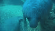 You At The Zoo - Variety is Valuable