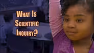 You At The Zoo - What Is Scientific Inquiry? 