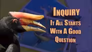 You At The Zoo - Inquiry: it all Begins With a Good Question