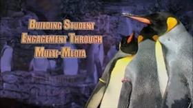 Video thumbnail: K-12 Multimedia Resources You At The Zoo - Building Student Engagement