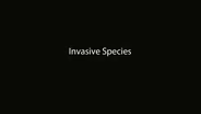 Invasive Species