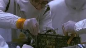 Video thumbnail: STEM STEM | Thinkers of Tomorrow