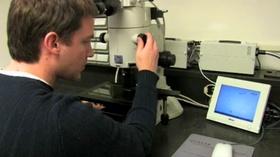 Video thumbnail: STEM STEM | Science is Fundamental