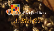 Backyard Bees - A, Bee, C's