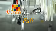 Farm-to-Table: Fall