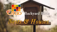 Backyard Birding - Houses