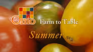 Farm-to-Table: Summer