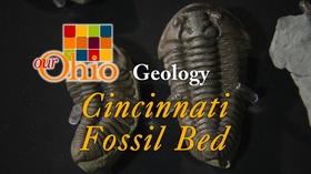 Video thumbnail: Our Ohio Geology: Cincinnati Fossil Bed