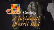 Geology: Cincinnati Fossil Bed