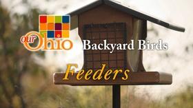 Video thumbnail: Our Ohio Backyard Birding - Feeders