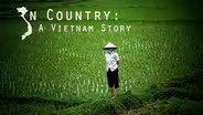 In Country: A Vietnam Story