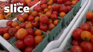 Enjoy a Minnesota Farmers Market!