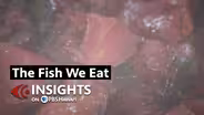 3/20/25 The Fish We Eat