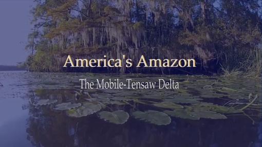 Alabama Public Television Presents : America's Amazon
