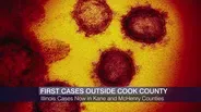 Coronavirus Cases in Illinois at 19 as 8 More Test Positive