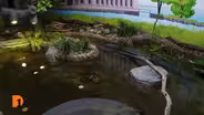 Belle Isle Nature Center re-opens following renovations