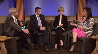 Minnesotas Political Party Chairs Square Off