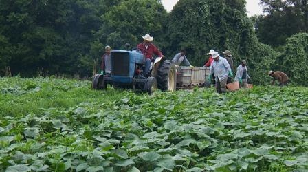 Video thumbnail: WSIU InFocus Local Farming Update