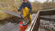 Fish Farming