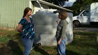 Rain Barrels