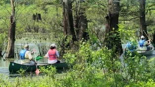 Cache River Nature Fest