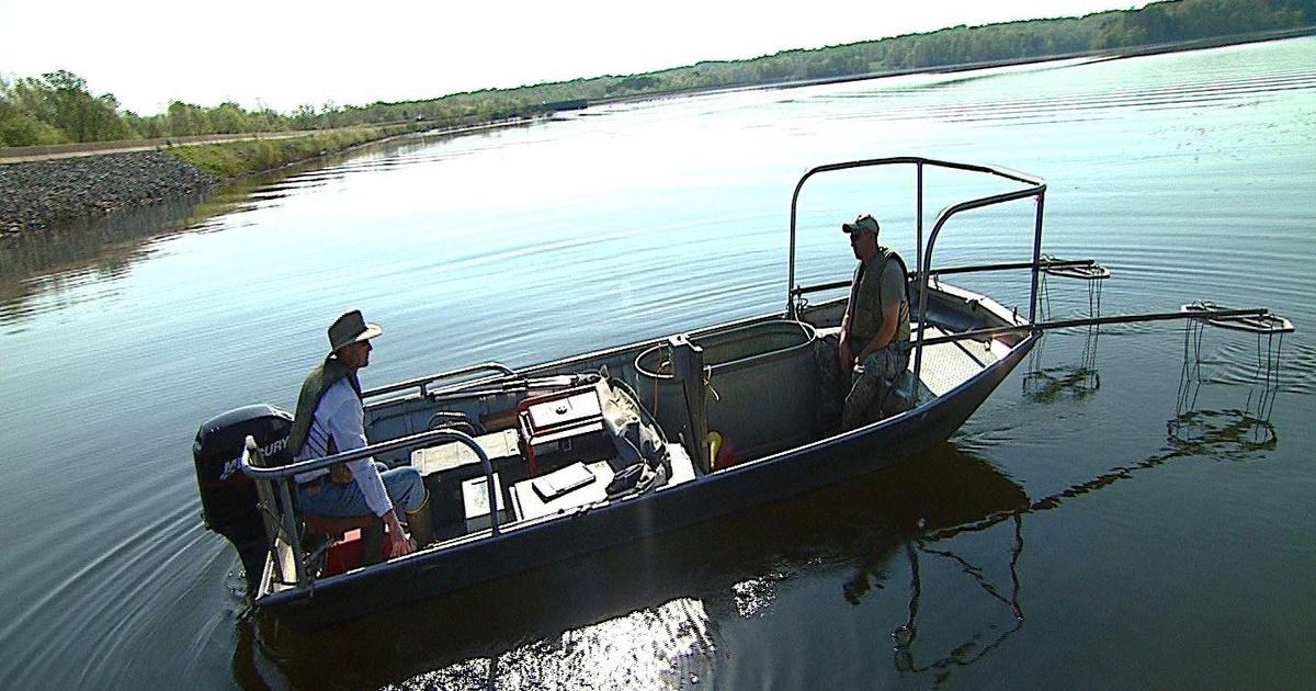 WSIU InFocus | Fish Shocking | PBS