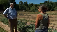 Sustainability Local Foods