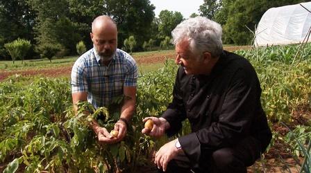 Video thumbnail: A Fork in the Road with Chef Garrett Blackberry Farm