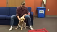 Guiding Eyes for the Blind