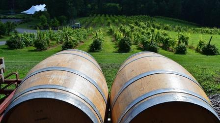 Video thumbnail: Sip and Swirl Six Mile Creek Vineyards
