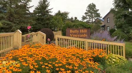 Video thumbnail: Sip and Swirl Bully Hill Vineyards