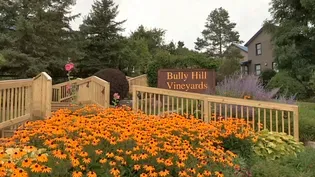 Bully Hill Vineyards