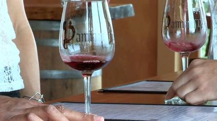 Video thumbnail: Sip and Swirl Damiani Wine Cellars