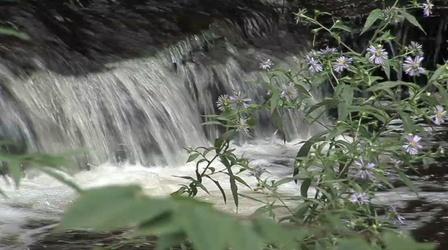 Video thumbnail: State Park Minutes Ricketts Glen State Park