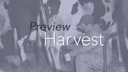 Preview: Harvest