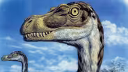 Mark Hallett, paleo artist | K-12
