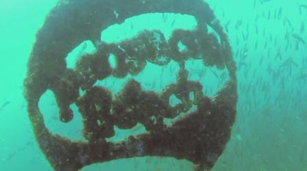 Video thumbnail: In Your Own Backyard Undersea Northwest Florida - Preview