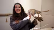 ANIMAL SENSES