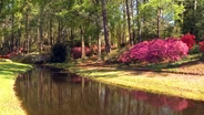 Callaway Gardens