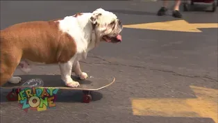 Get Fuzzy