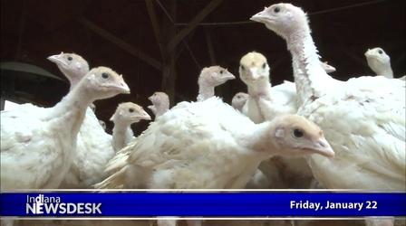 Video thumbnail: Indiana Newsdesk January 22, 2016
