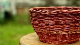 Video thumbnail: The Weekly Special Nature and Nurture