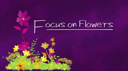 Video thumbnail: WTIU Documentaries Focus on Flowers